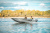 Лодка SWIMMER 430