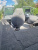 Алюминиевая моторная лодка ФЛ-47