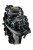 Лодочный мотор Reef Rider RR40FFES 2-х тактный HIDEA